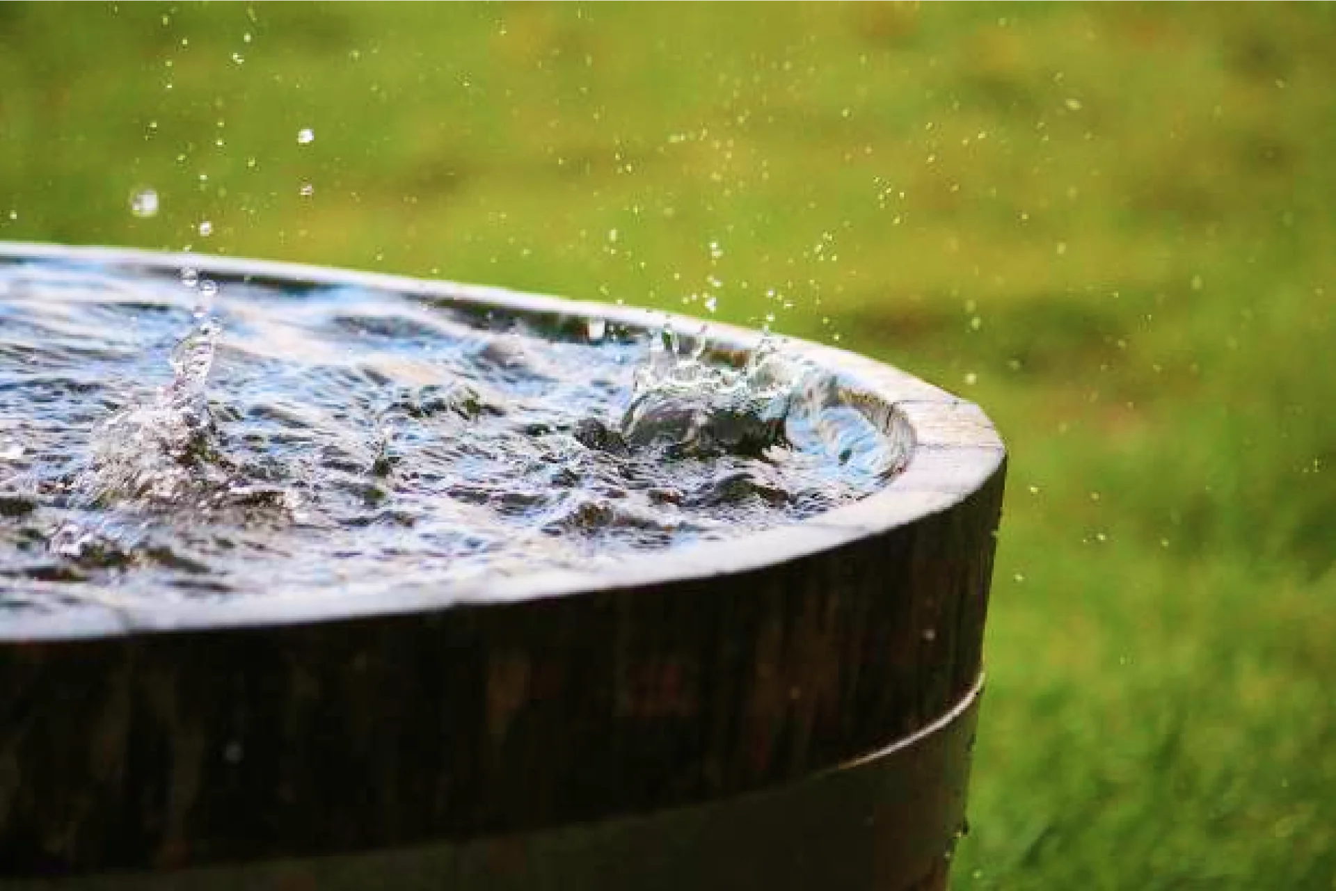 We prioritise rainwater harvesting to minimize our environmental footprint and foster a greener future